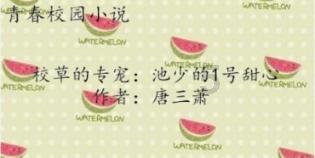 远征军：维京