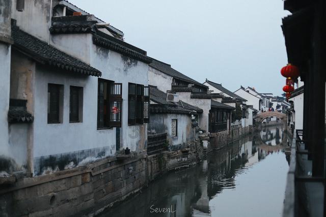 救援可爱小松鼠